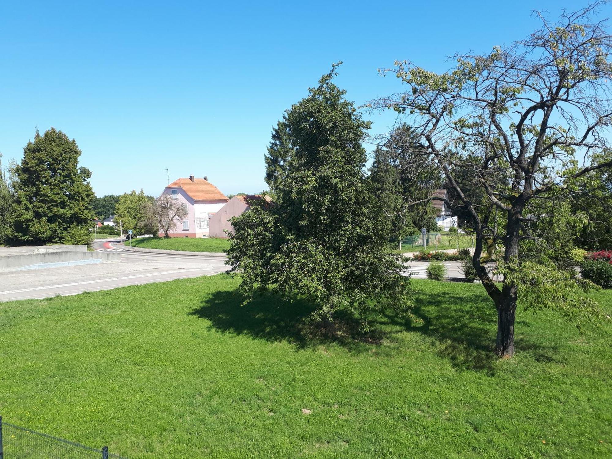 Le Cocon D'Alsace Otel Folgensbourg Dış mekan fotoğraf